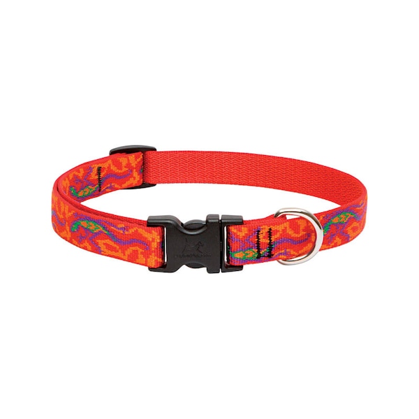 Lupine Dog Collar 1322Adj Ggko 41002 Zoro